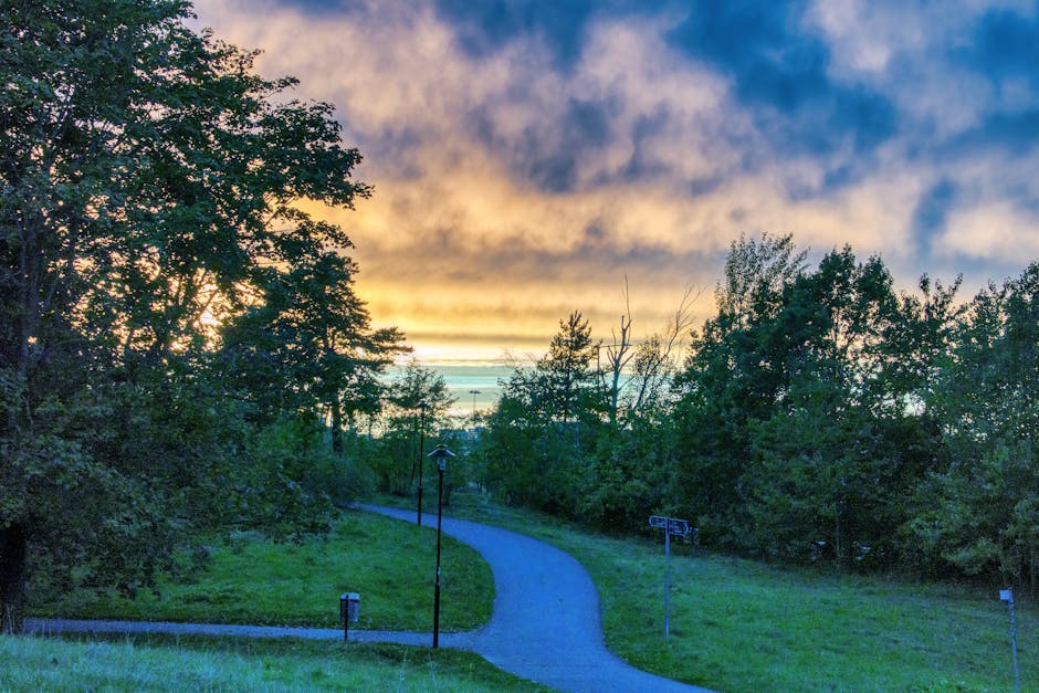 Shared public space that supports gathering and movement